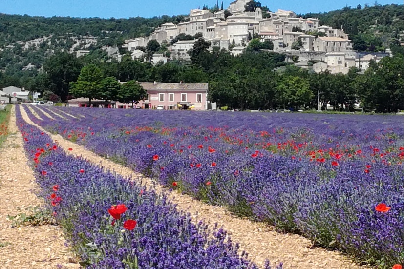Camping de Valsaintes - Blick auf die malerische Umgebung des Campingplatzes