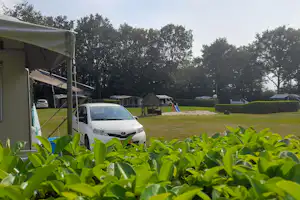 Camping De Vechtkamp - Standplätze auf dem Campingplatz