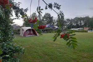 Camping De Vechtkamp - Zelt auf Standplatz