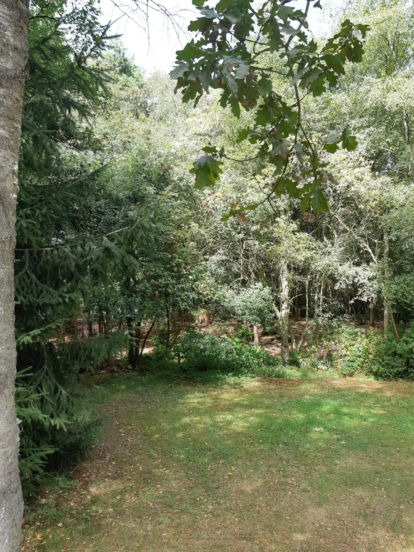 Camping De Veentjes