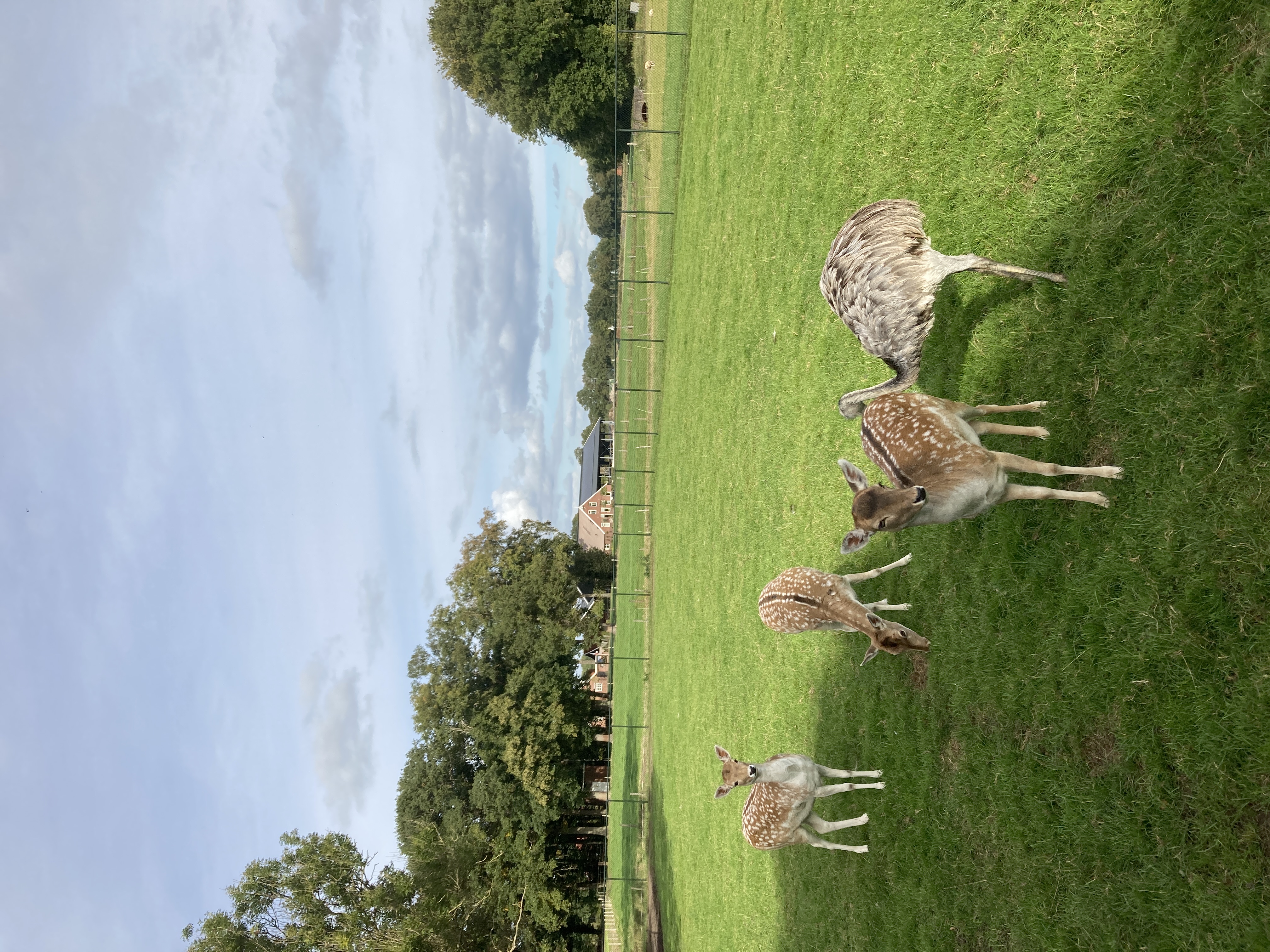 Camping De Veldmeijer