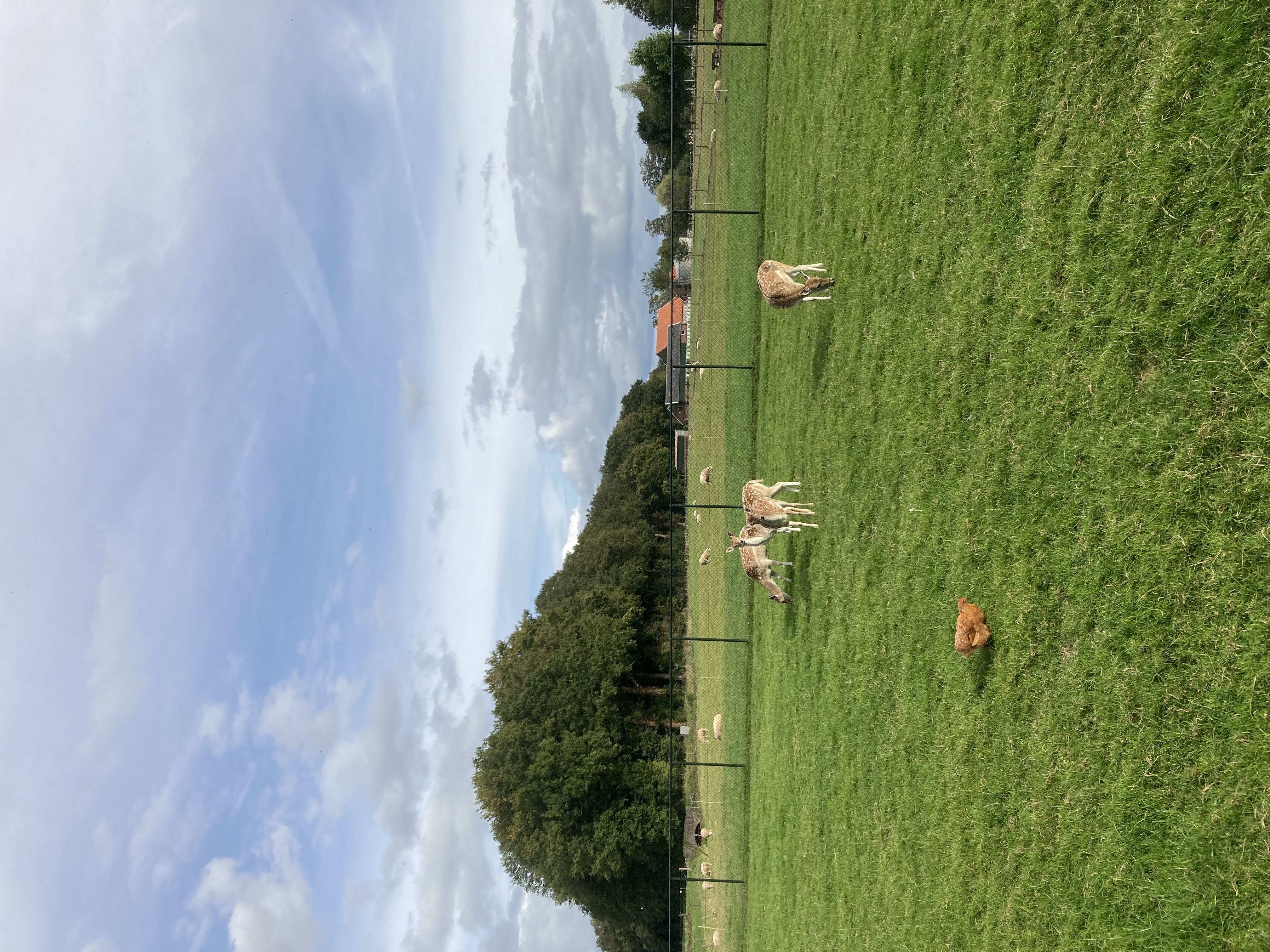 Camping De Veldmeijer