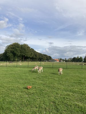 Camping De Veldmeijer