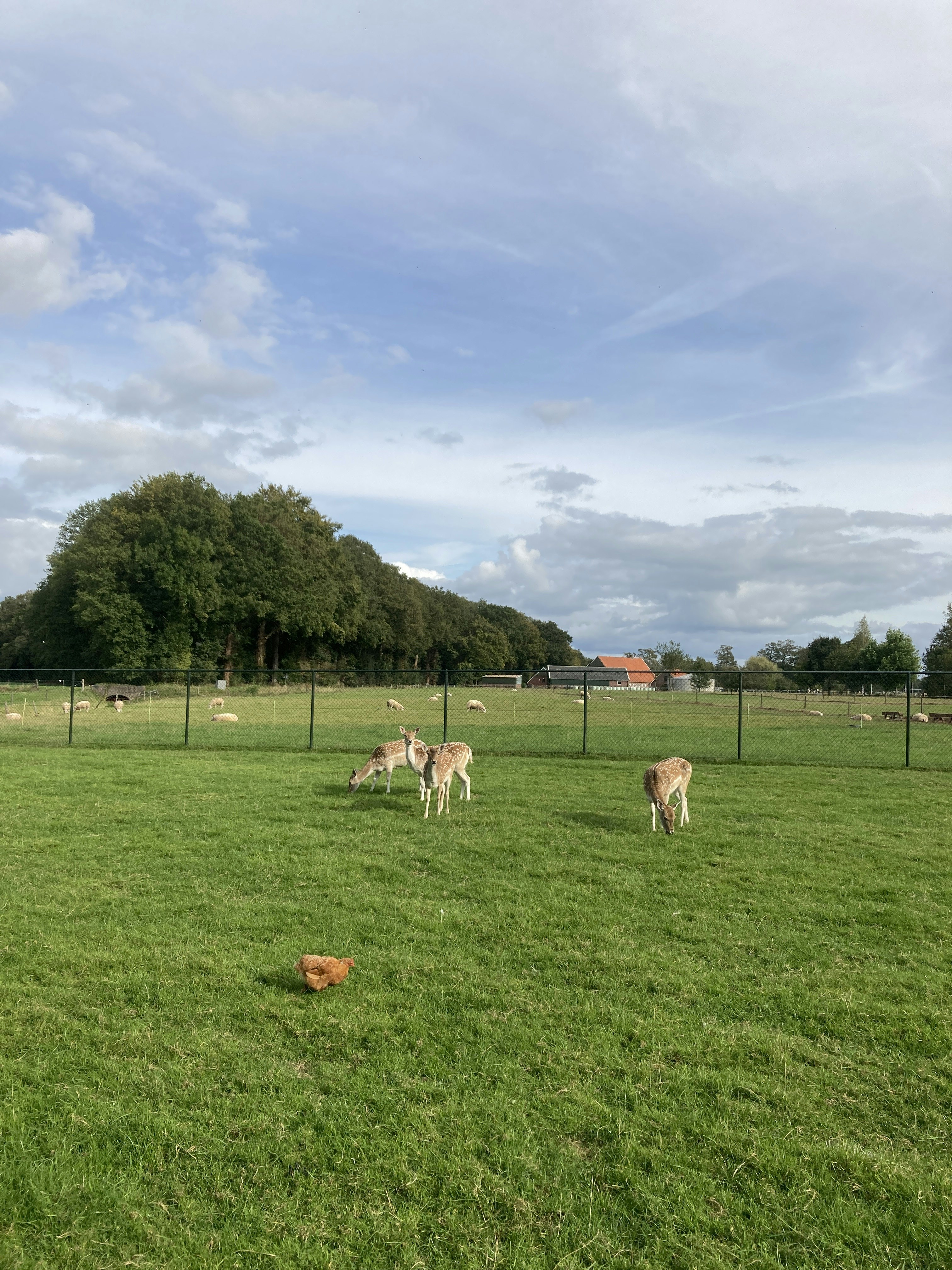 Camping De Veldmeijer