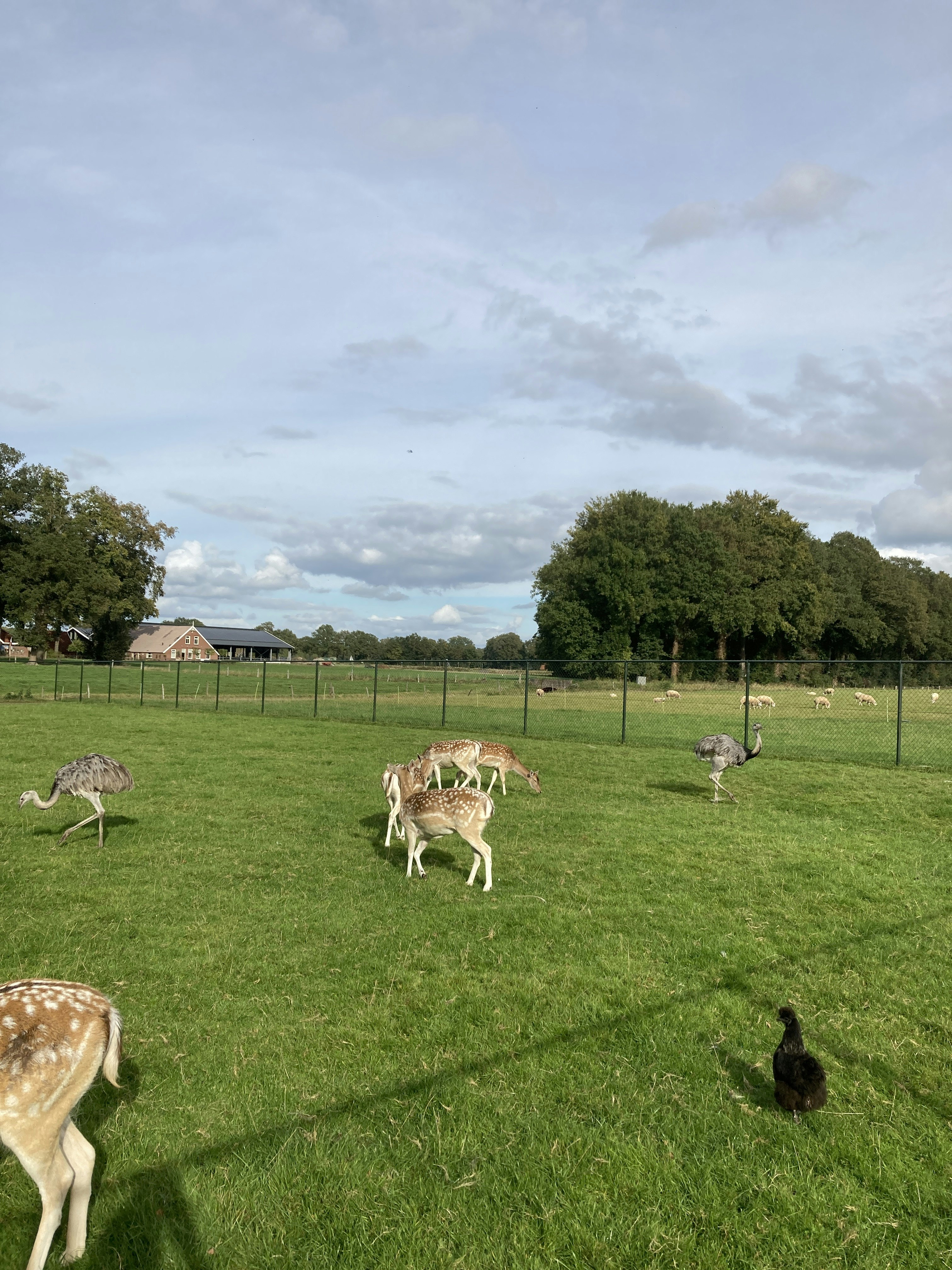 Camping De Veldmeijer