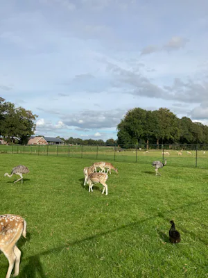 Camping De Veldmeijer