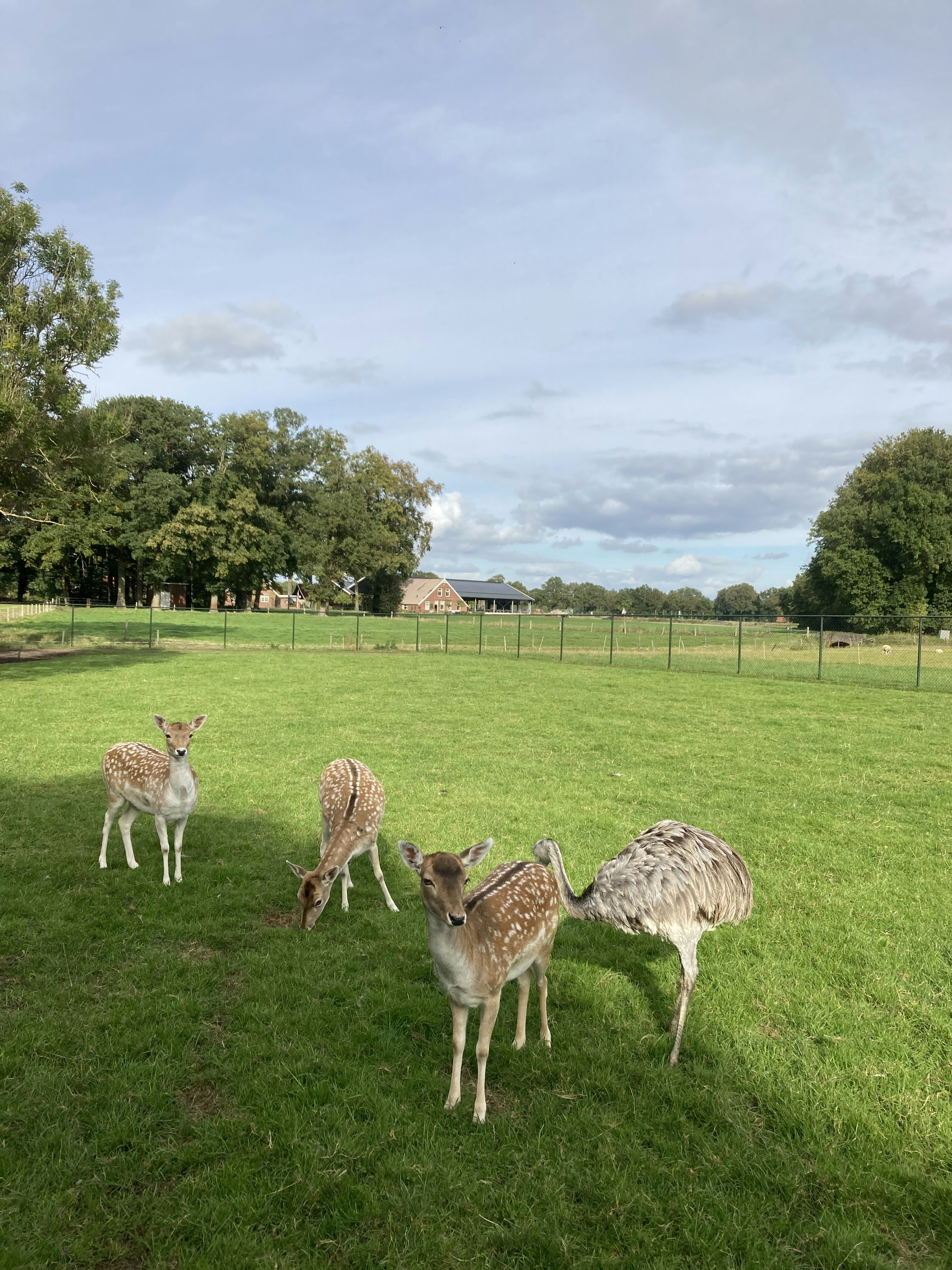 Camping De Veldmeijer