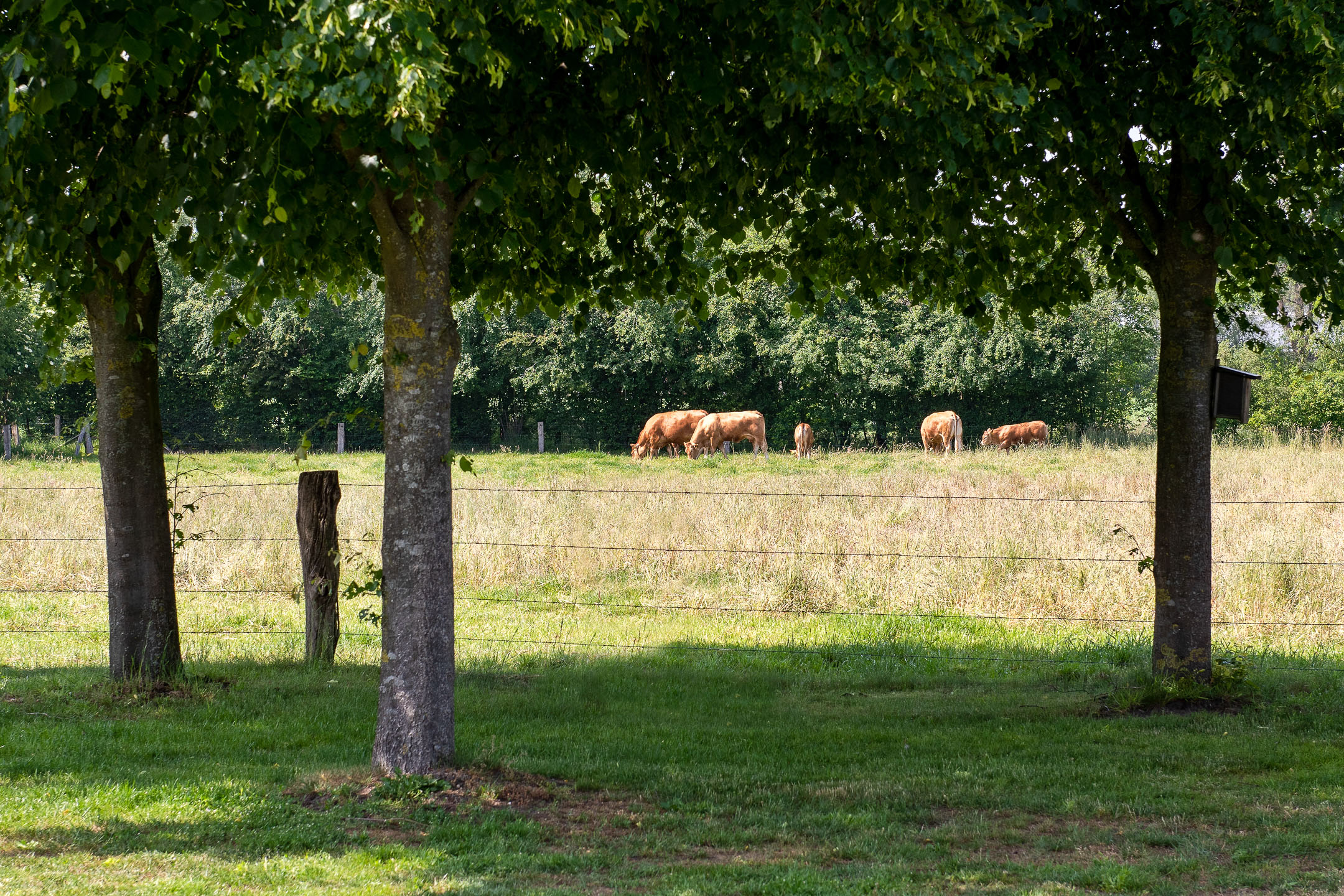 Camping De Veldzijde