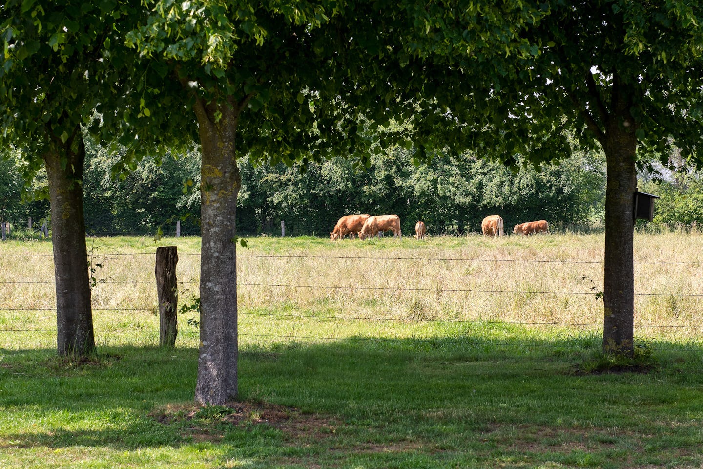 Camping De Veldzijde