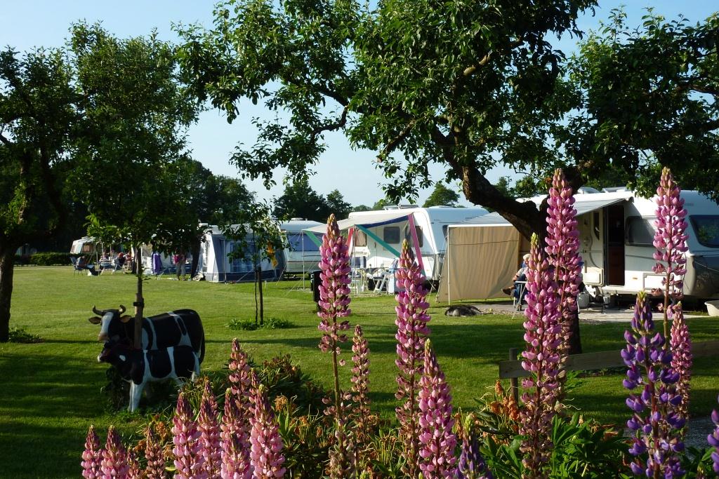 Camping De Veldzijde