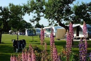 Camping De Veldzijde