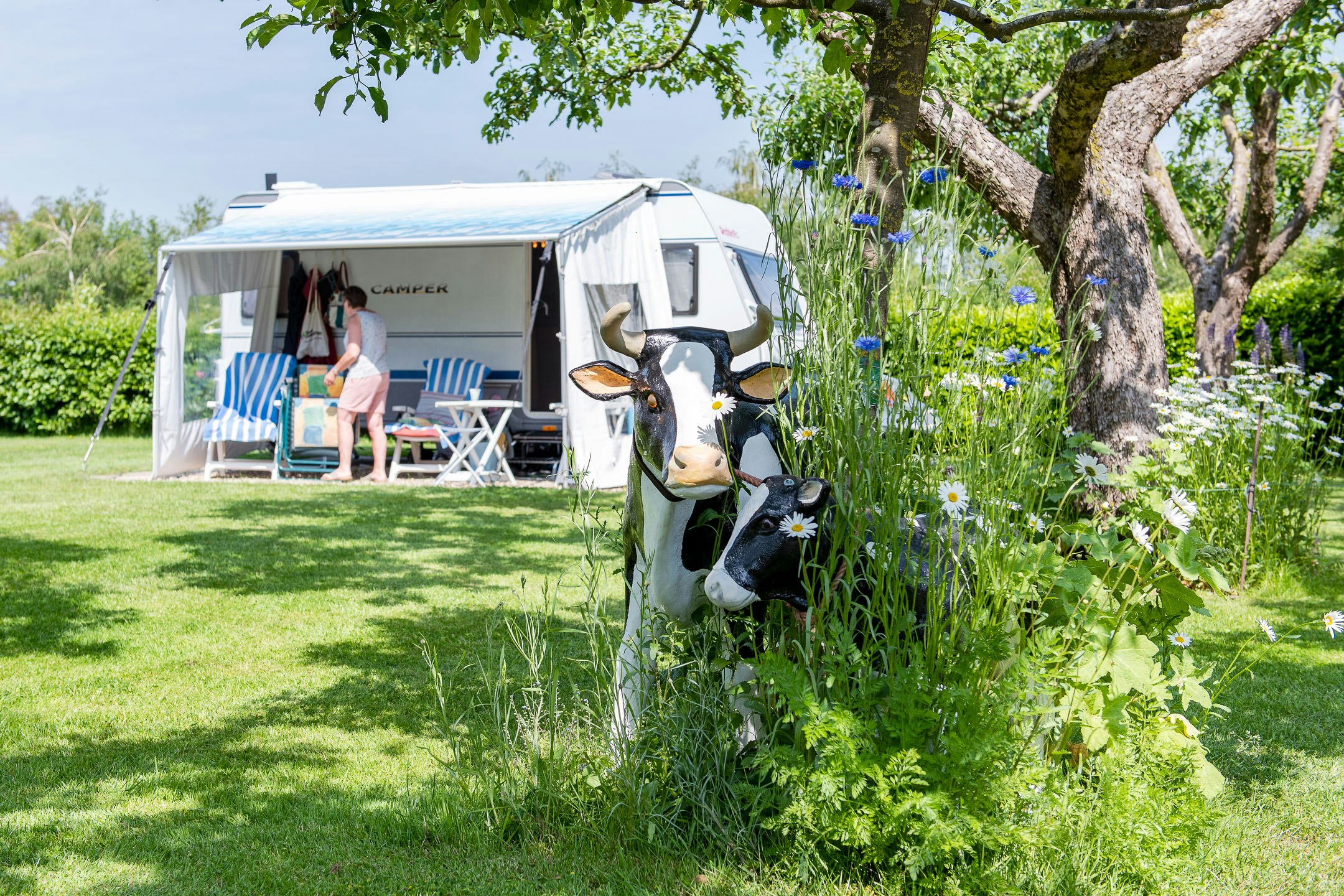 Camping De Veldzijde