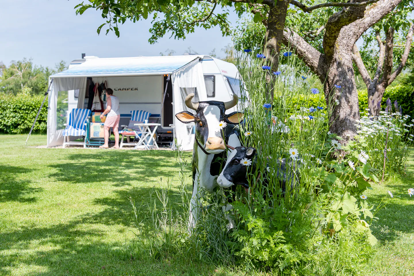 Camping De Veldzijde