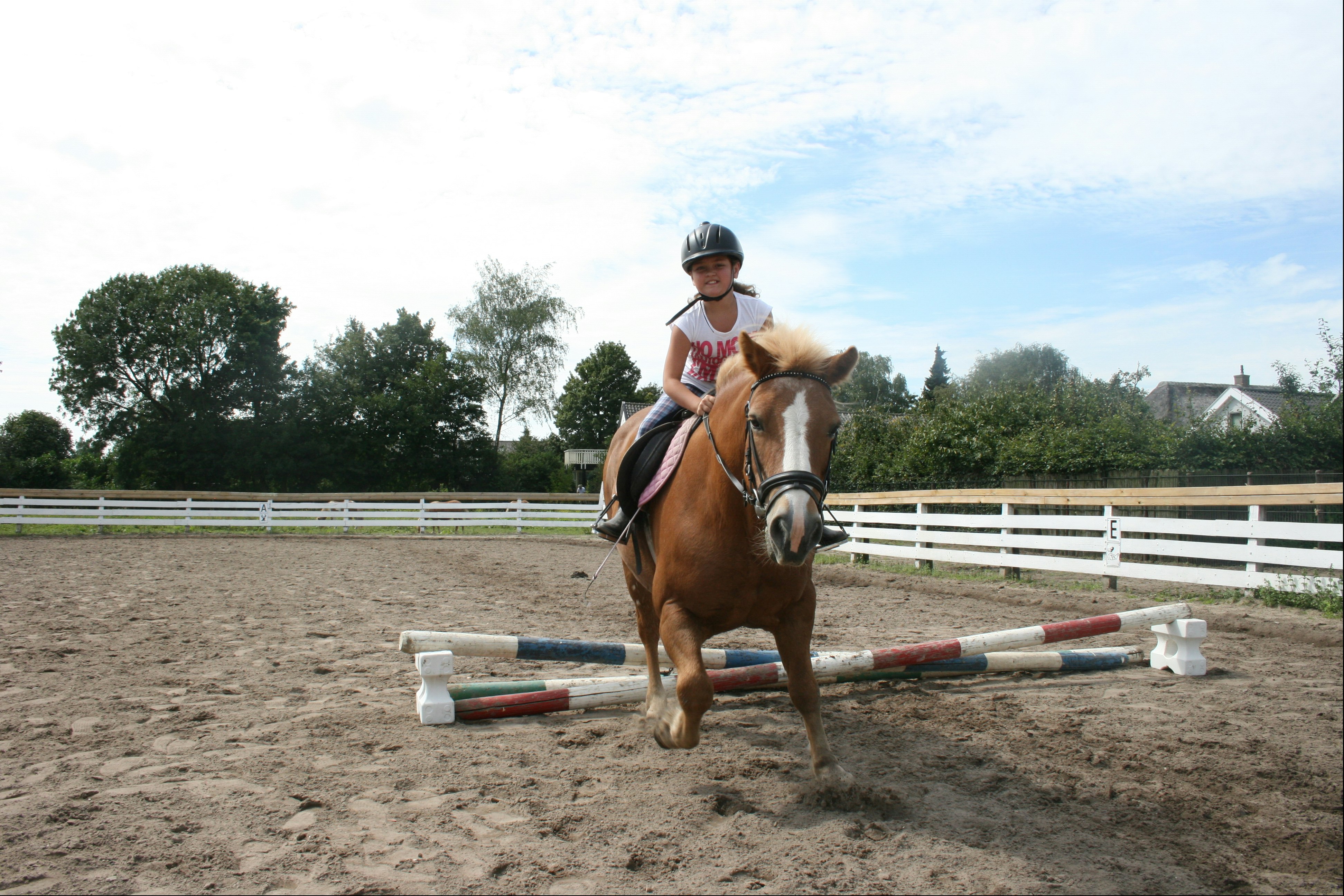 Camping De Vergarde - Ponyreiten als Freizeitaktivität auf dem Campingplatz