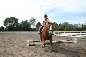 Junge Reiterin auf einem Pferd in der Reithalle, mit Sattel und Zaun, im Sandreitplatz vor Bäumen.