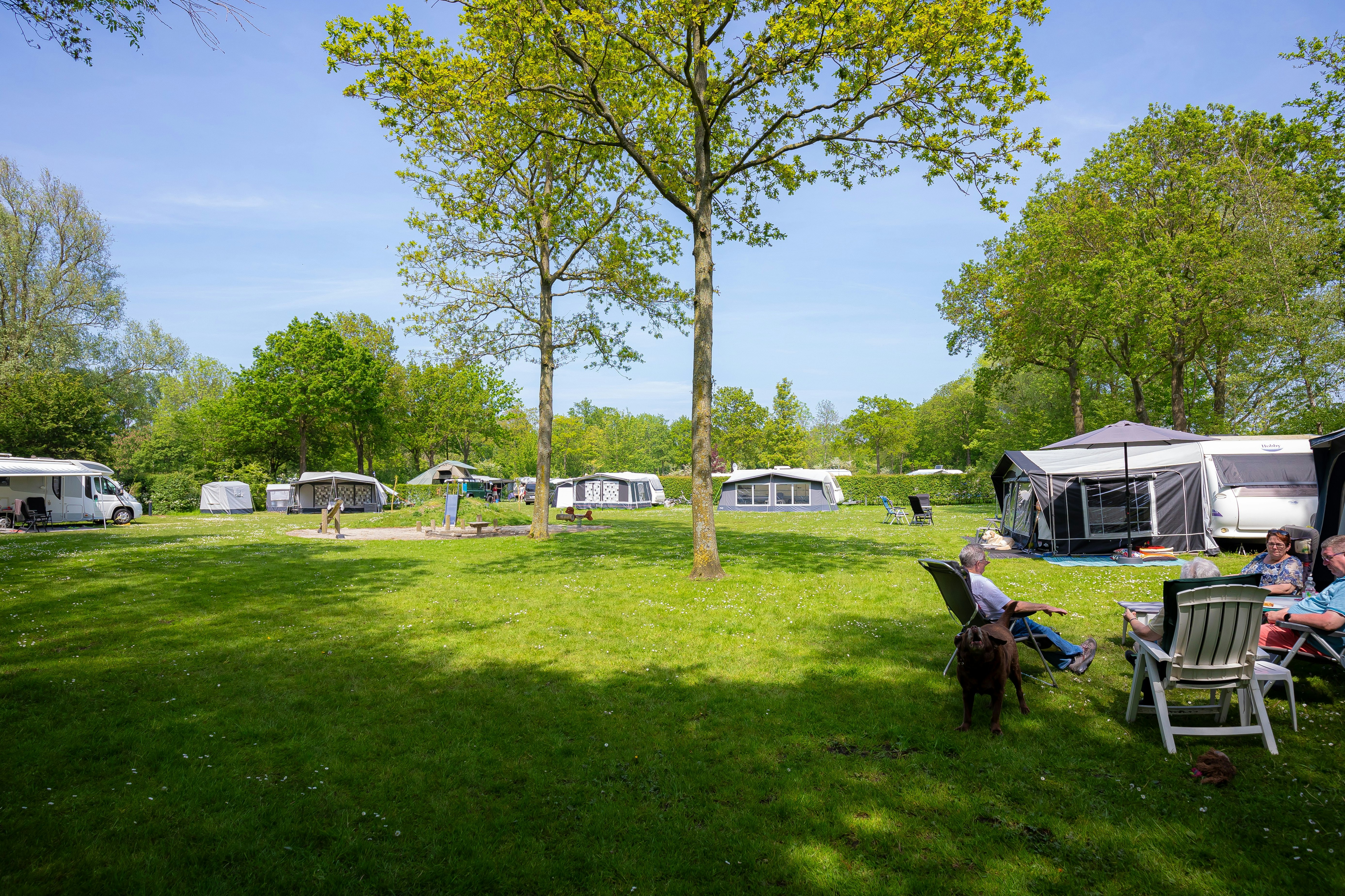 Camping De Vierbannen - Standplätze auf der Wiese auf dem Campingplatz