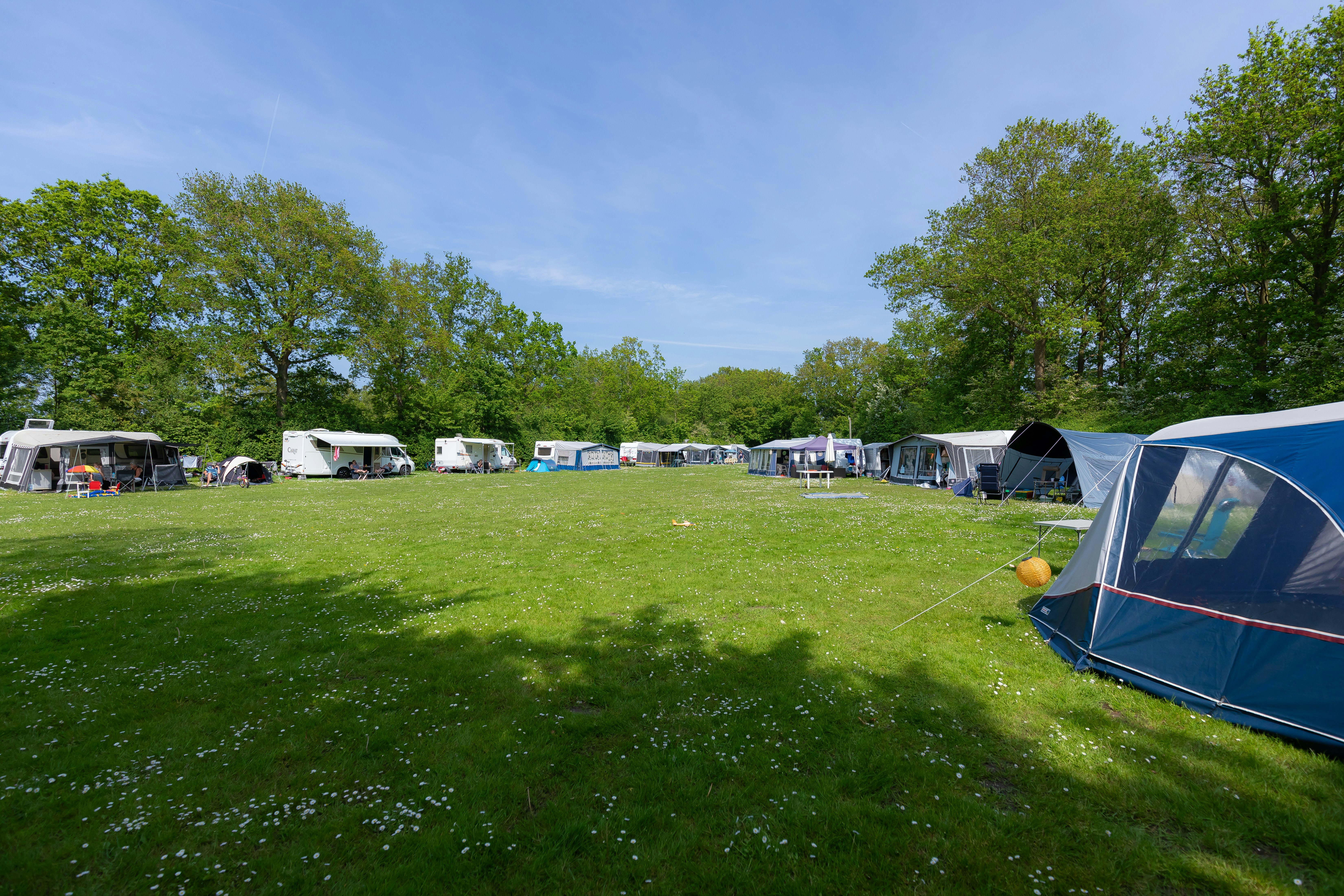 Camping De Vierbannen - Standplatzwiese auf dem Campingplatz