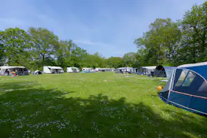 Camping De Vierbannen - Standplatzwiese auf dem Campingplatz