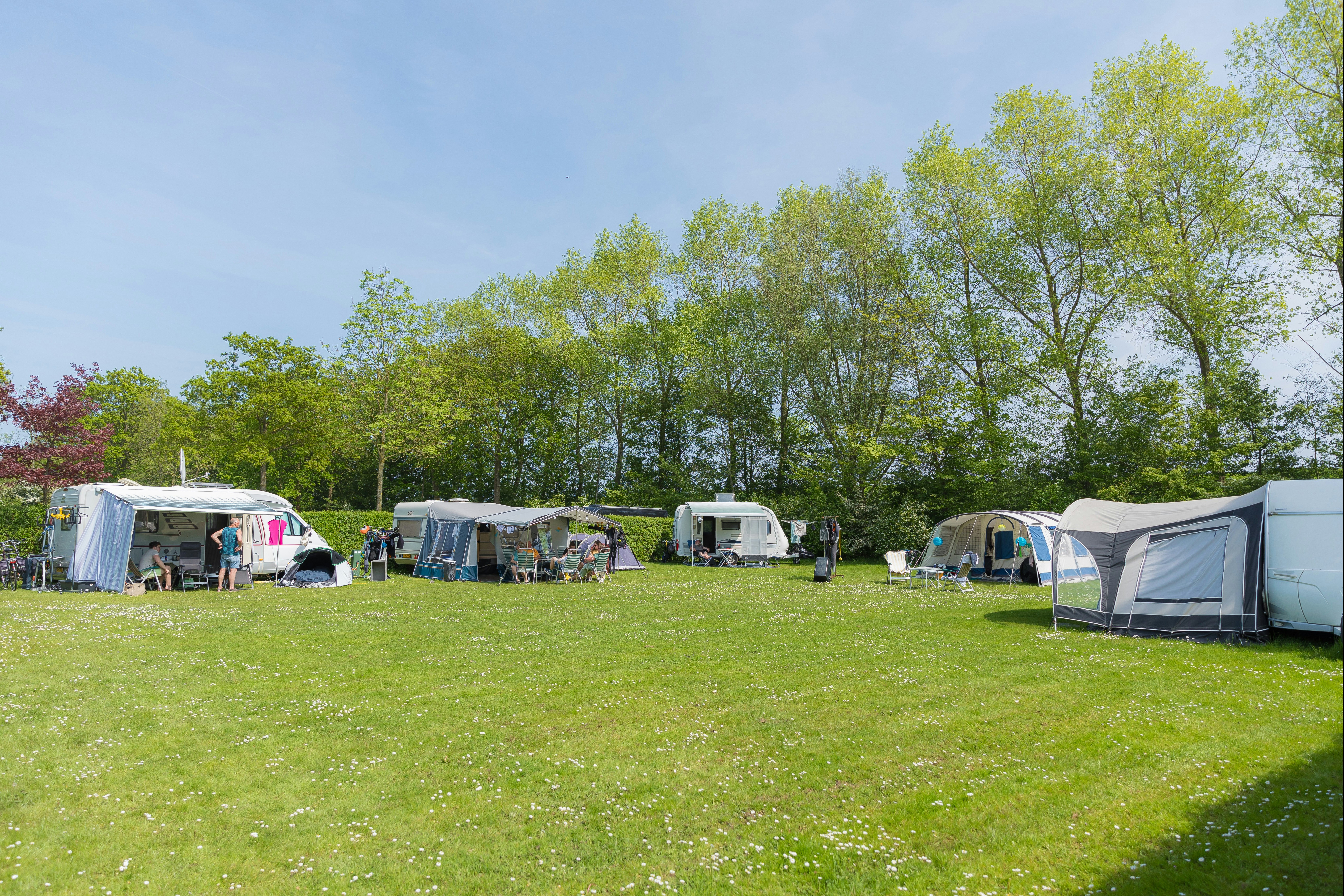 Camping De Vierbannen - Wohnmobil- und Wohnwagenstandplätze auf der Wiese