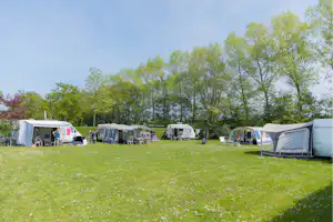 Camping De Vierbannen - Wohnmobil- und Wohnwagenstandplätze auf der Wiese