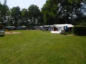 Camping De Vinkenkamp - Campingbereich für Zelte und Wohnwagen im Schatten der Bäume mit Kinderspielplatz und Rutsche