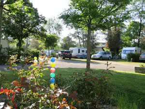 Grüner Campingplatz mit Rasen, Büschen und Wohnwagen am Parkplatz, im Hintergrund Bäume und ein Auto.