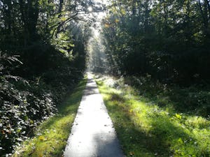 Recreatiepark de Voorst