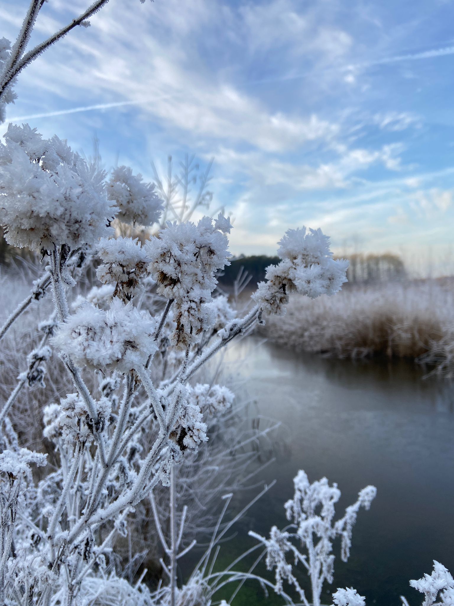 Recreatiepark de Voorst