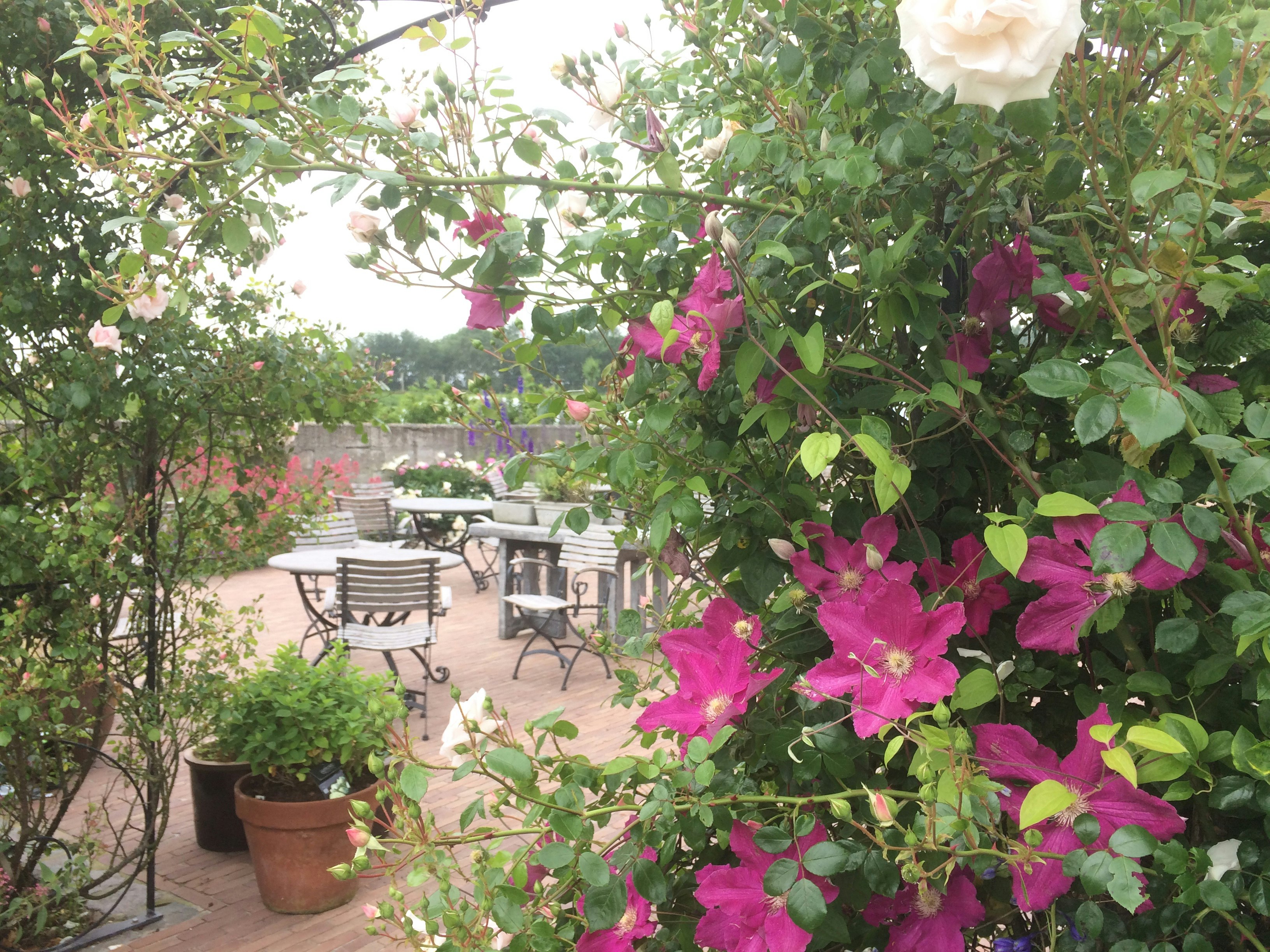 Camping De Wachtsluis