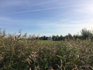 Camping De Wachtsluis