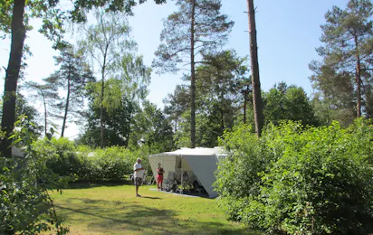 Camping De Wapenberg