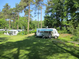 Wohnmobil auf einer Campingwiese im Grünen, mit Vorzelt, Campingstühlen und weiteren Stellplätzen zwischen hohen Bäumen.