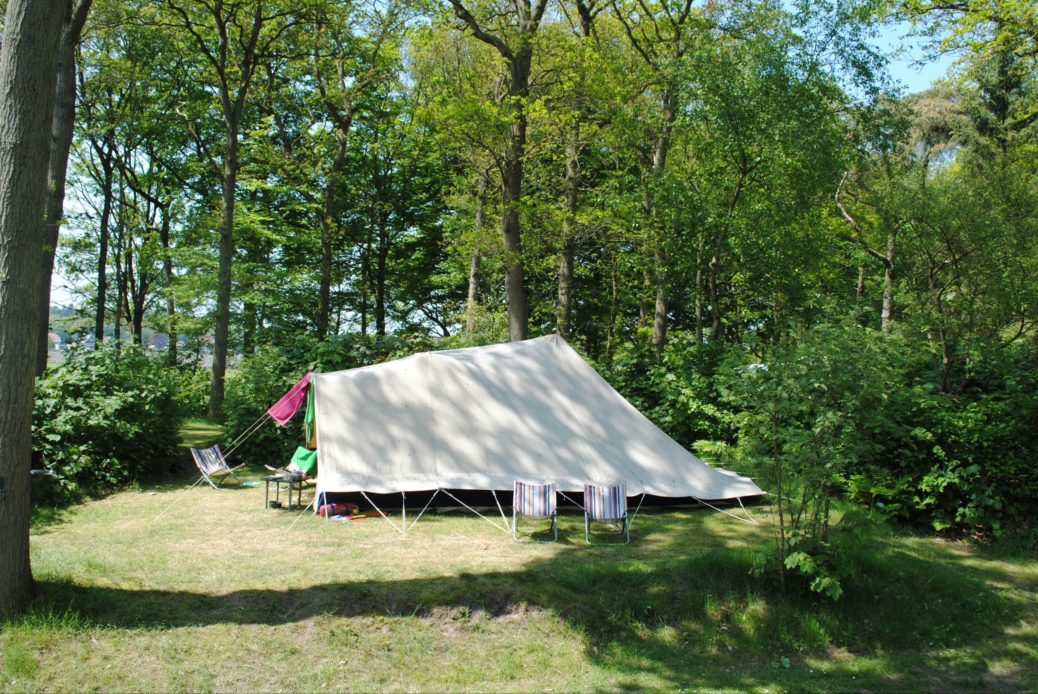 Camping De Waps - Blick auf ein Zelt auf dem Campingplatz