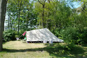 Campingzelt auf einer Wiese im Grünen, mit Stühlen und Tisch vor hohen Bäumen im Wald.