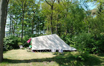 Camping De Waps