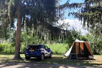 Camping de Wasselonne - Stellplätze im Schatten der Bäume
