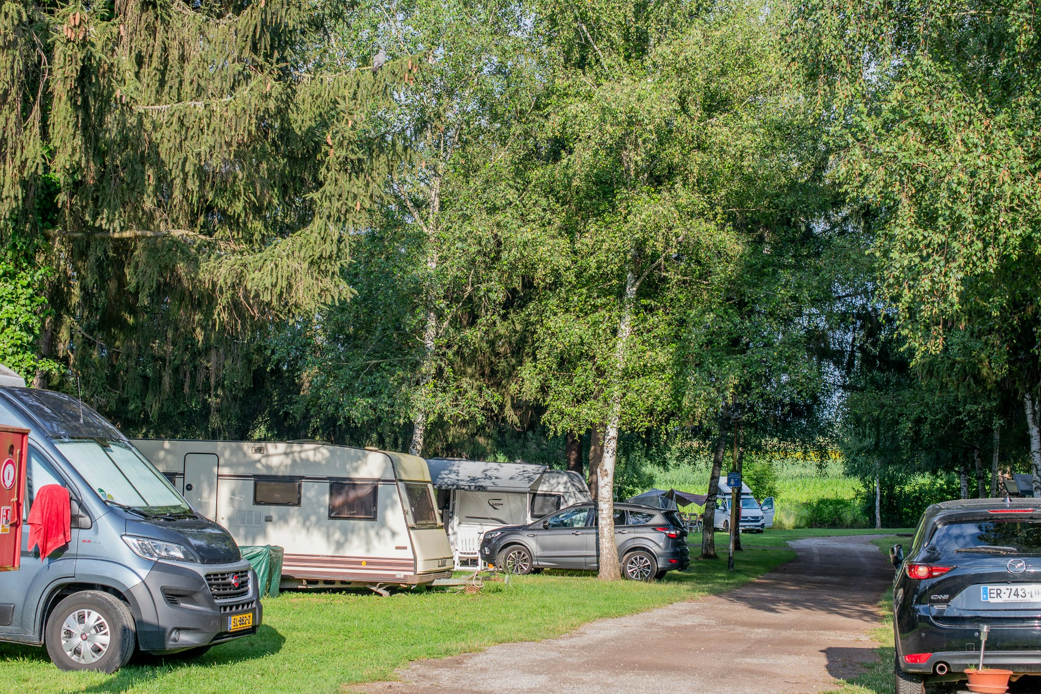 Onlycamp de Wasselonne - Standplätze auf dem Campingplatz