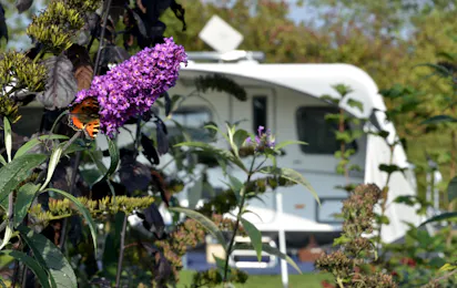 Camping de Waterjuffer
