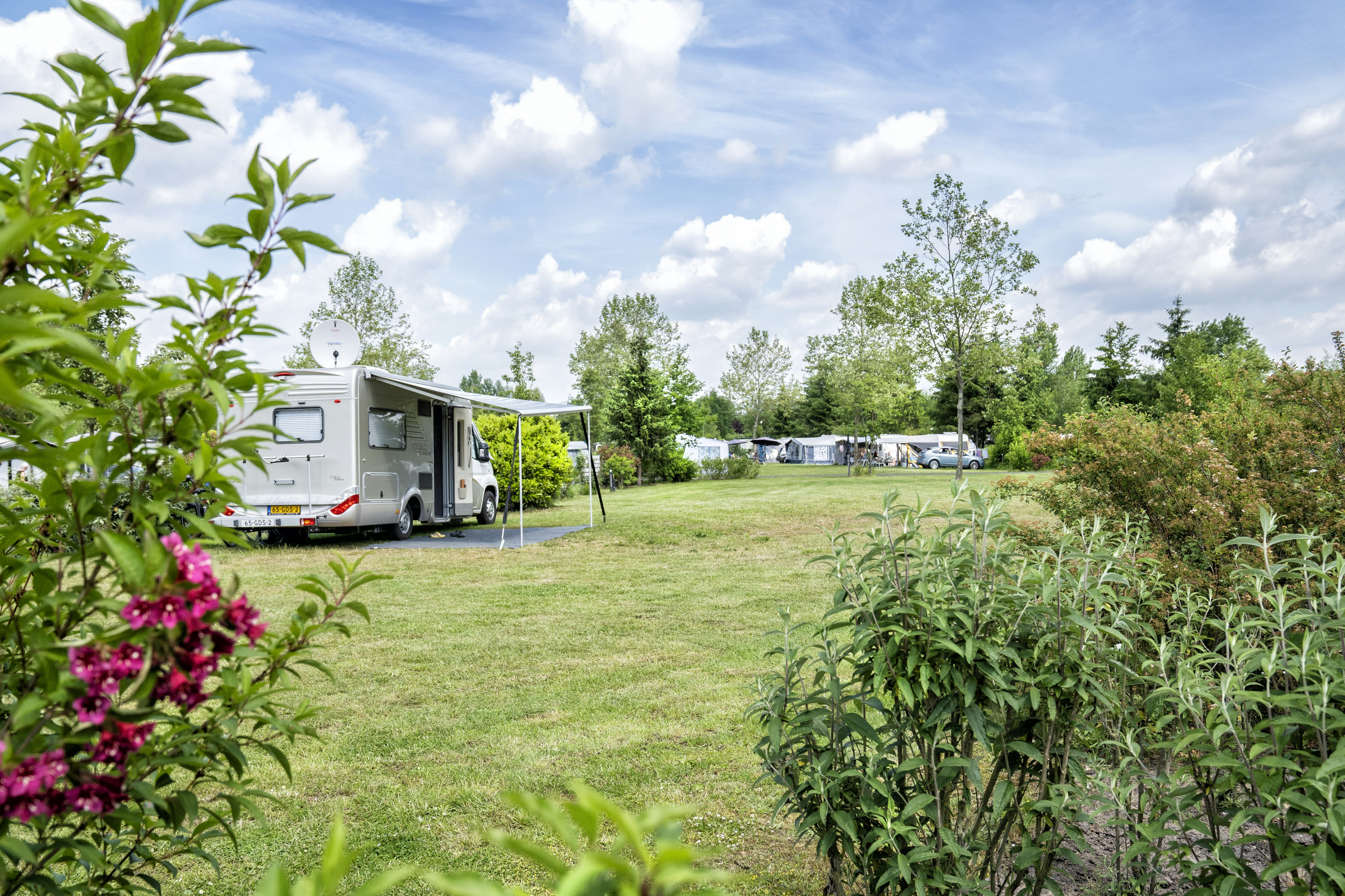 Camping de Waterjuffer - Standplätze auf der Wiese auf dem Campingplatz