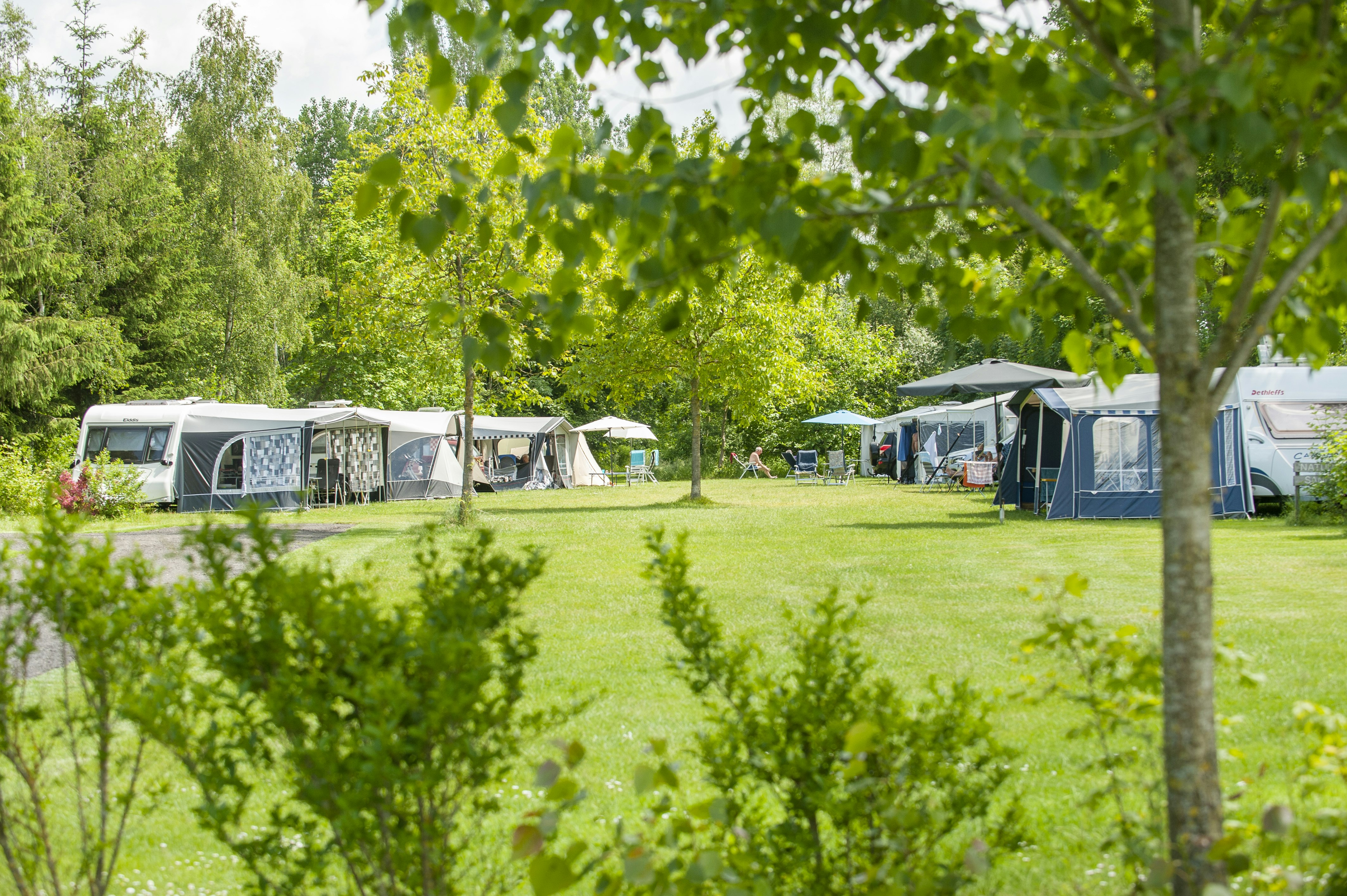 Camping de Waterjuffer