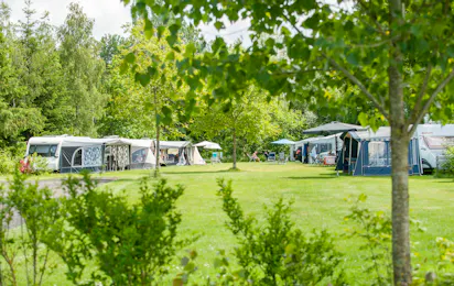 Camping de Waterjuffer