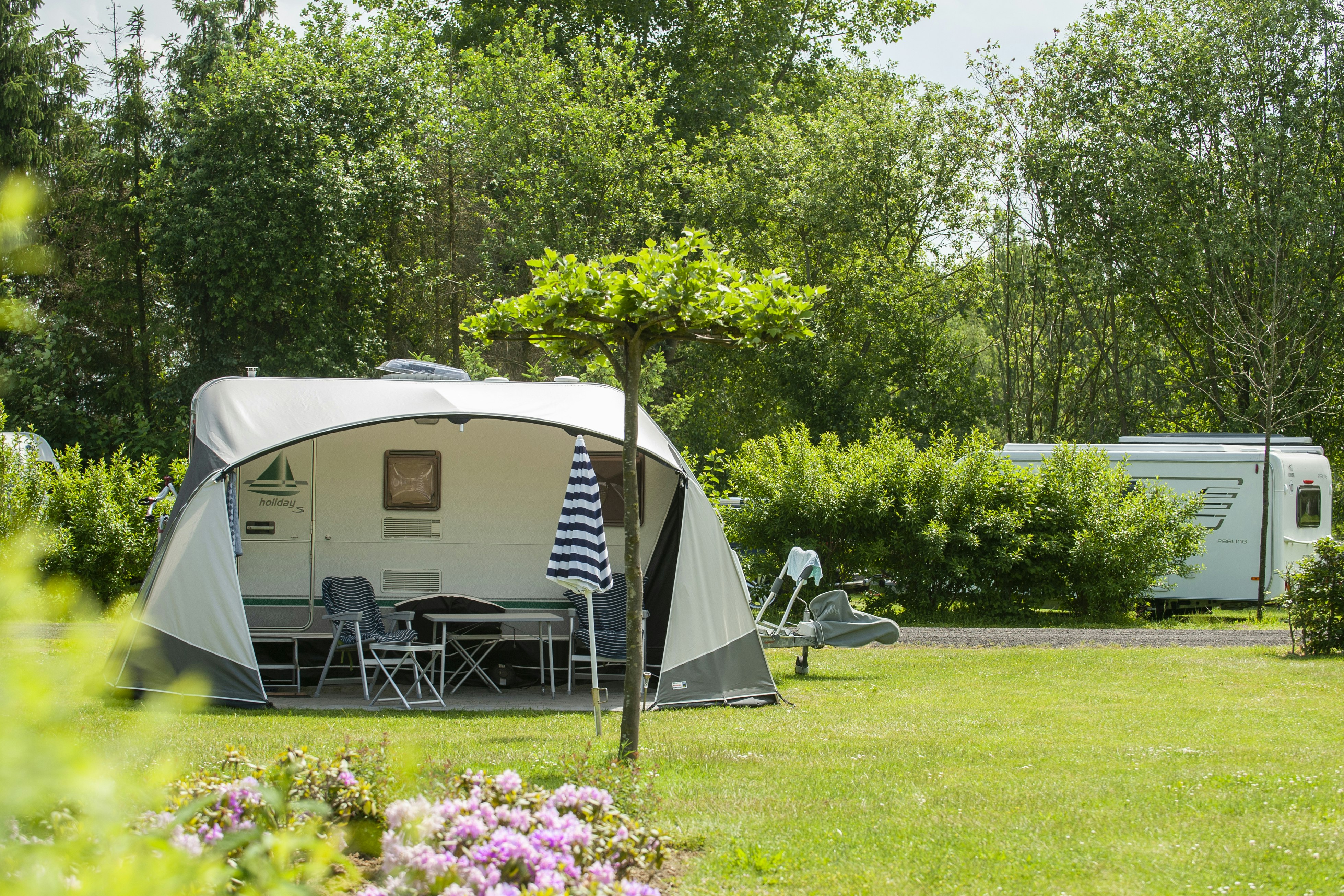 Camping de Waterjuffer - Zelt auf Standplatz