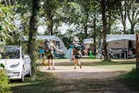 Camping De Watermolen - Wohnmobil- und  Wohnwagenstellplätze im Schatten der Bäume
