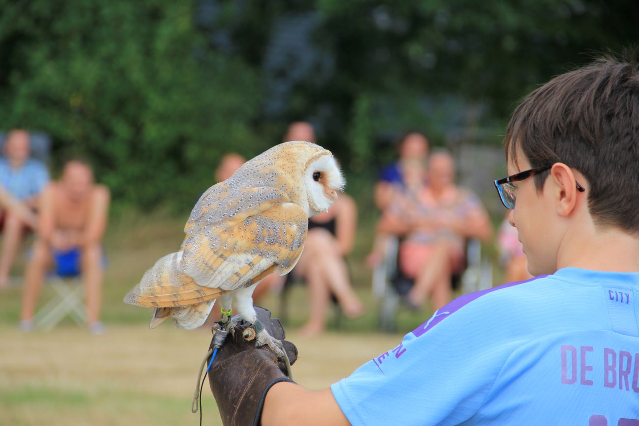 Camping De Watertoren