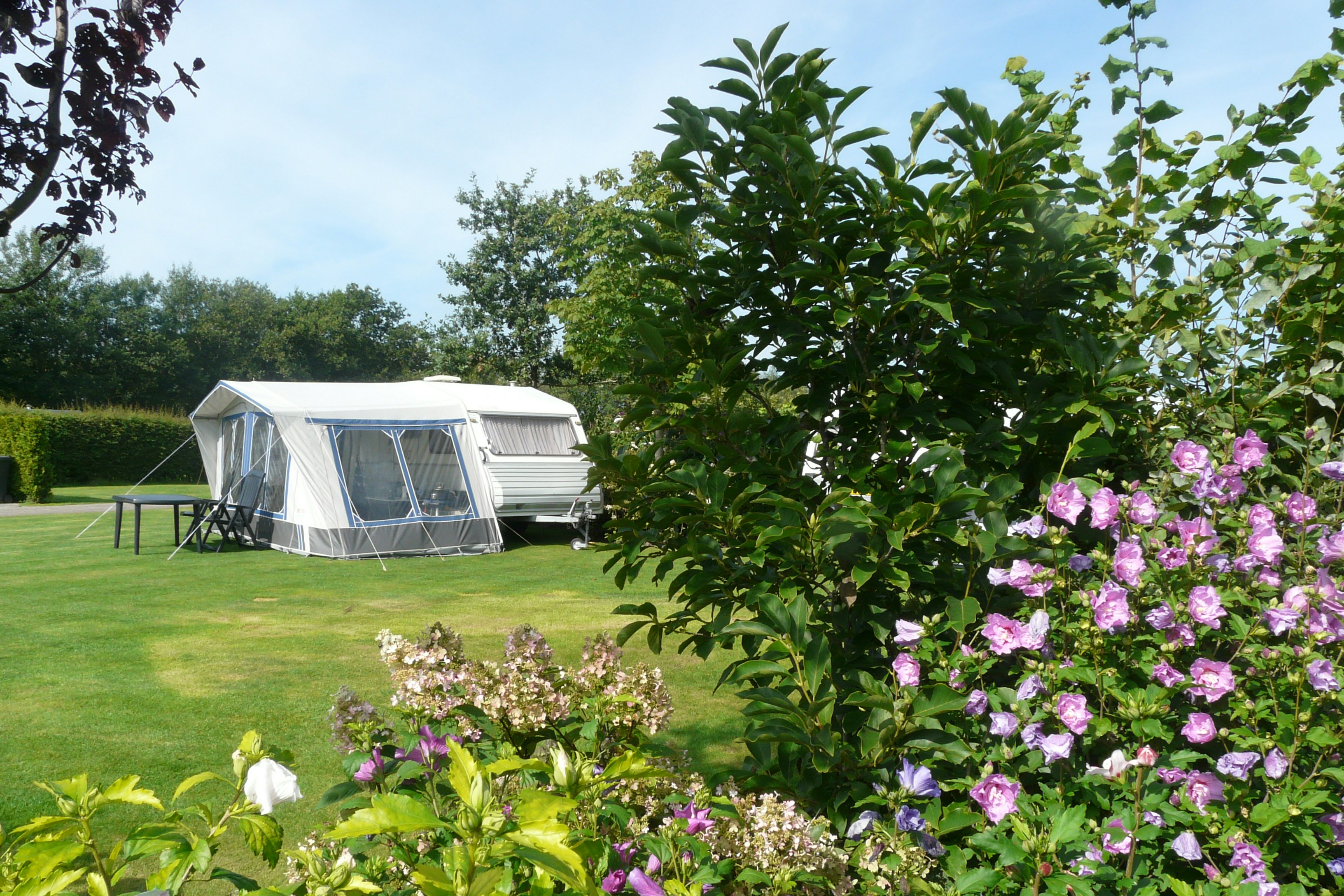 Camping De Wedze - Stellplätze auf der Wiese