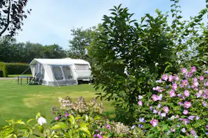 Camping De Wedze - Stellplätze auf der Wiese