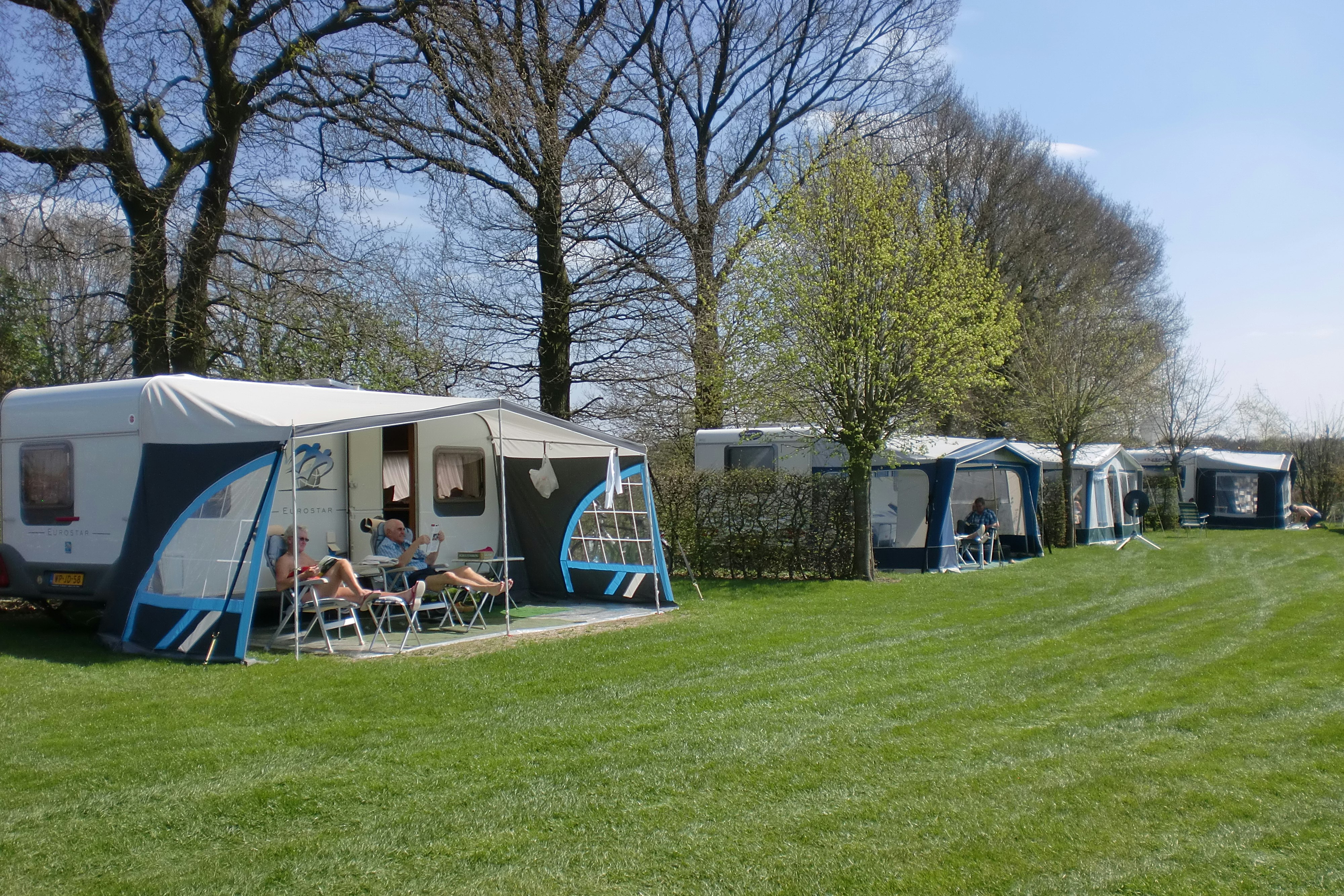 Camping De Wielewaal - Blick auf die Standplätze auf der Wiese