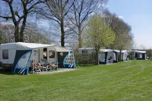 Camping De Wielewaal - Blick auf die Standplätze auf der Wiese