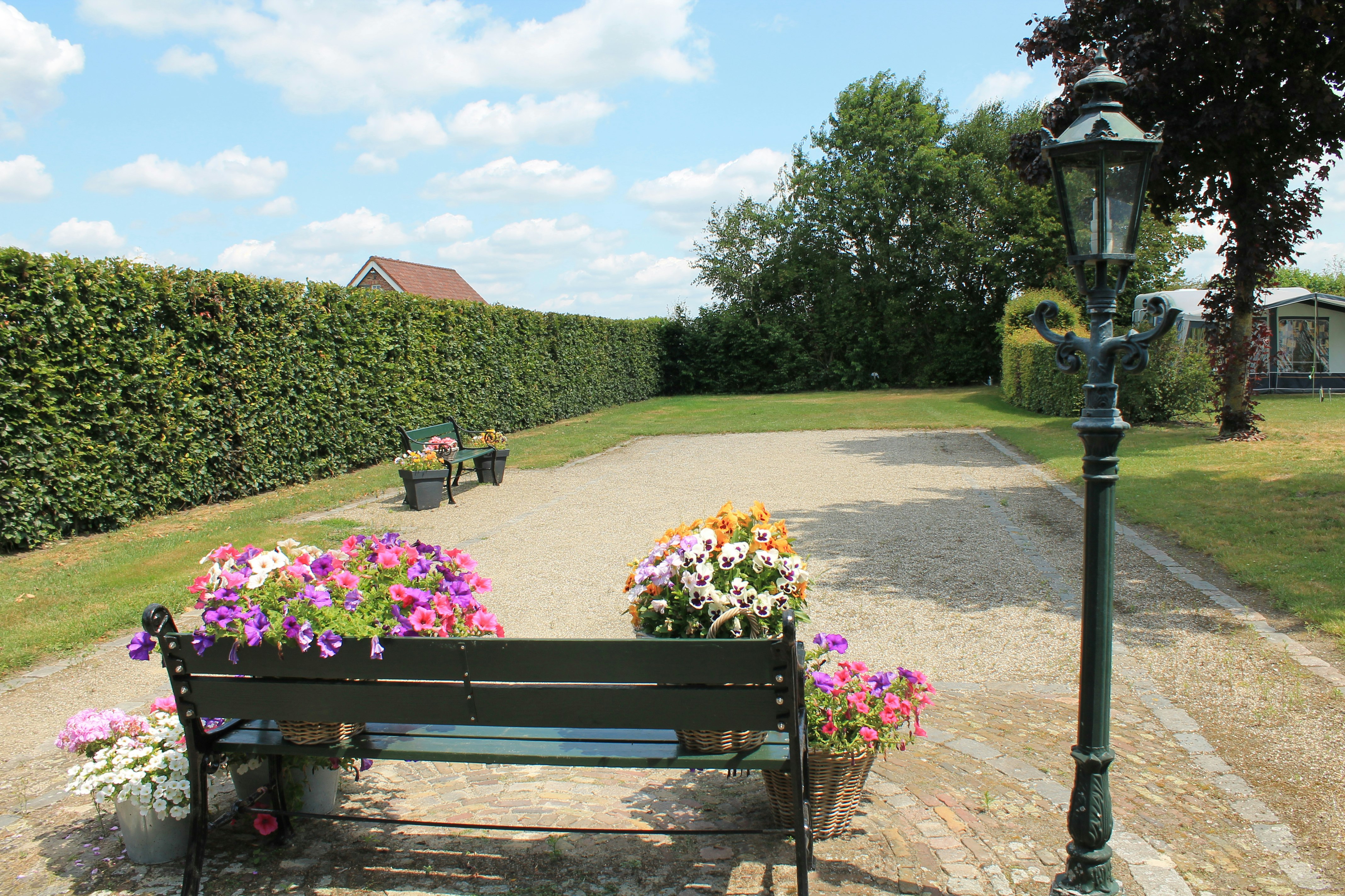Camping De Wielewaal - Pétanque-Feld auf dem Campingplatz