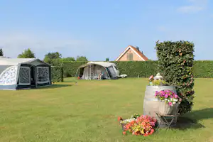 Camping De Wielewaal - Standplatzwiese auf dem Campingplatz